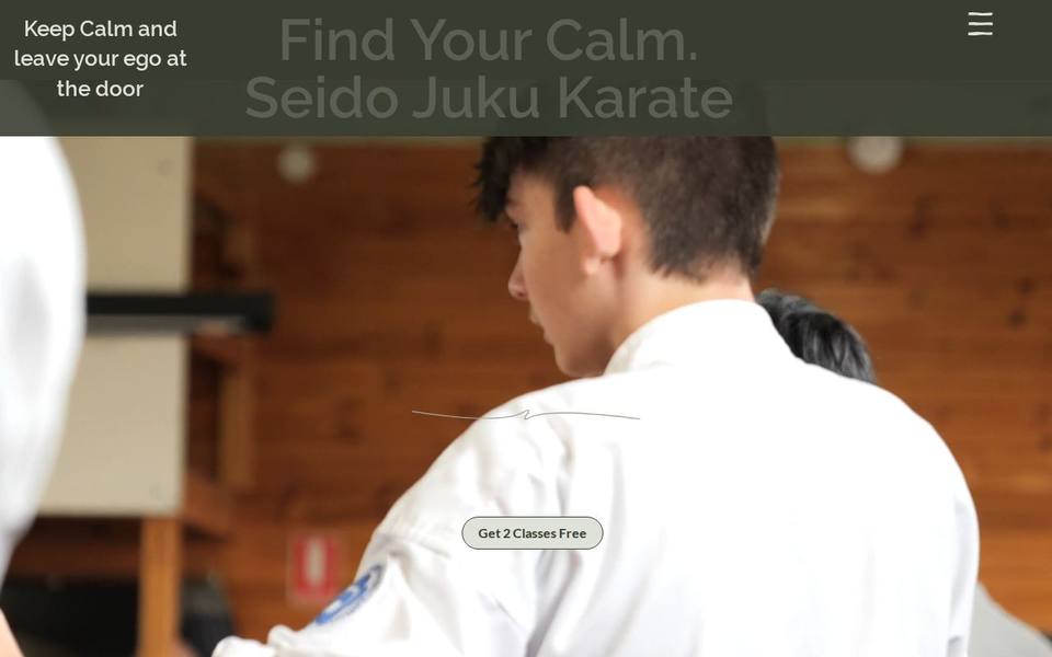 Seido-Juku Karate website