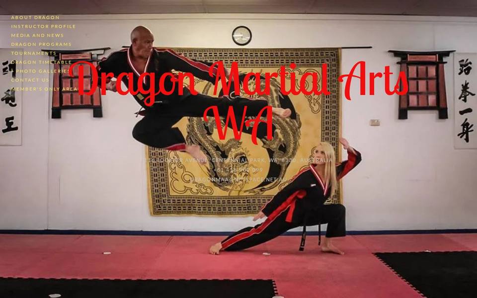 Dragon Martial Arts Albany website