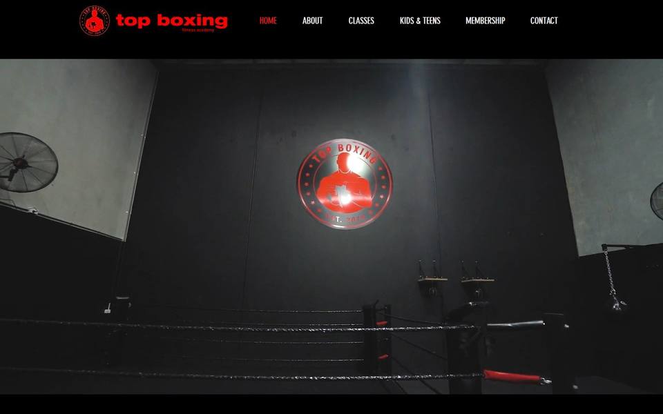 Top Boxing Fitness Academy website