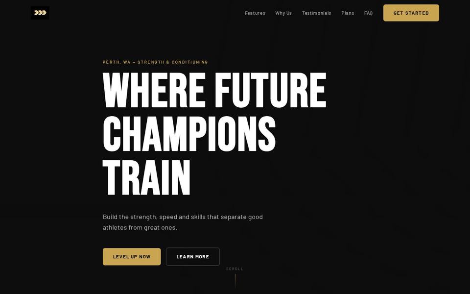 Next Level Performance S&C website
