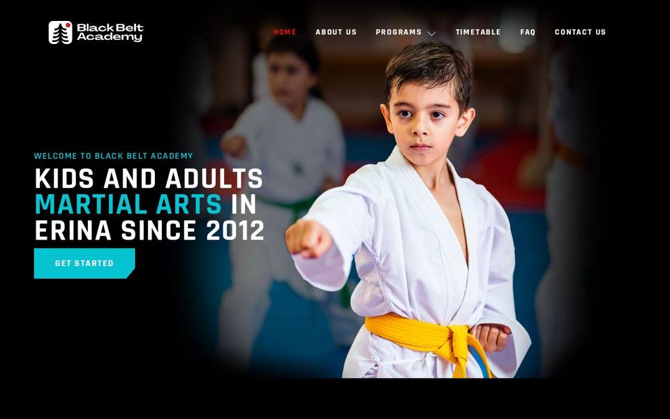 Black Belt Academy website