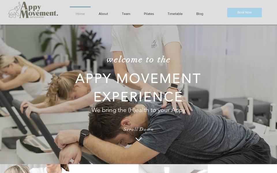 Appy Movement website