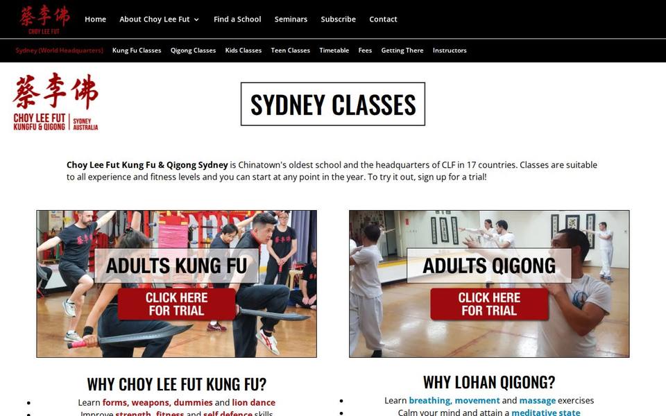 Choy Lee Fut Kung Fu and Qigong website