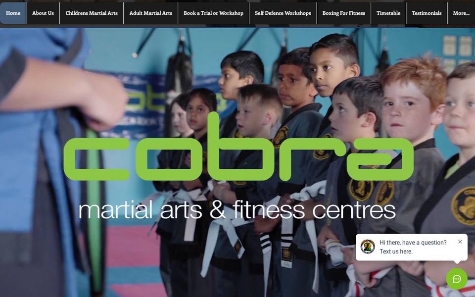 Cobra Martial Arts website