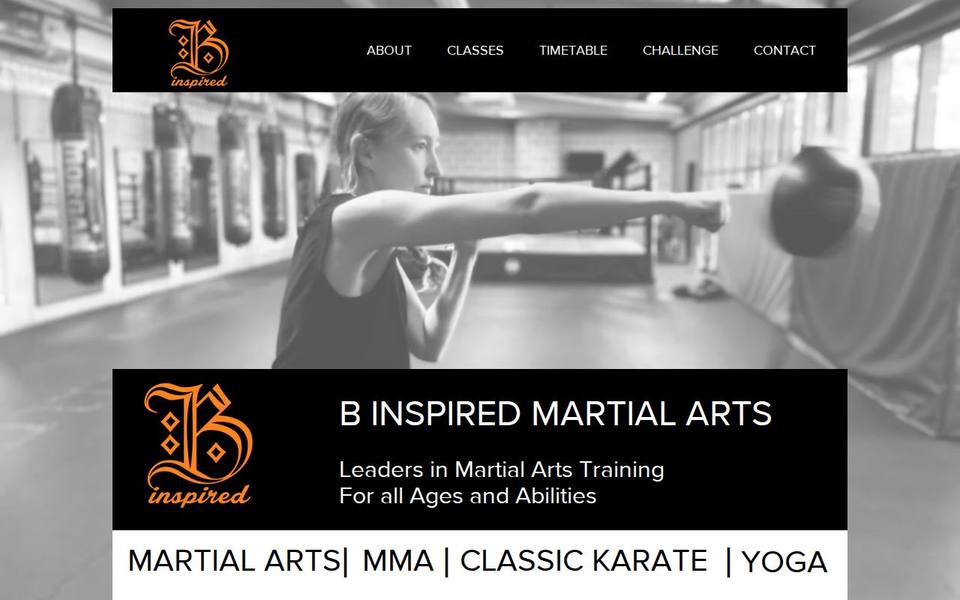 Evolution Martial Arts website