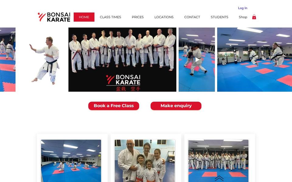 Bonsai Karate website