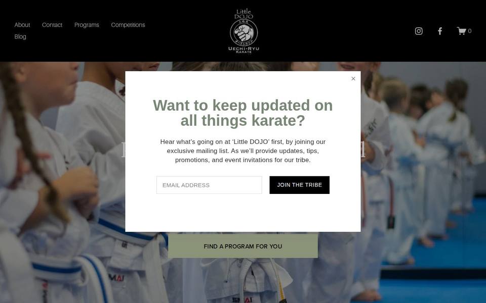 Little DOJO Martial Arts website