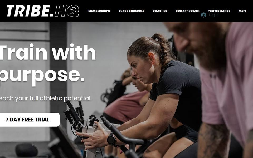 Tribe Headquarters website