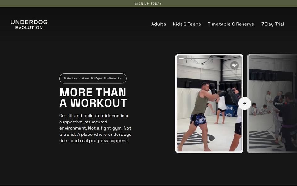 Underdog Evolution website