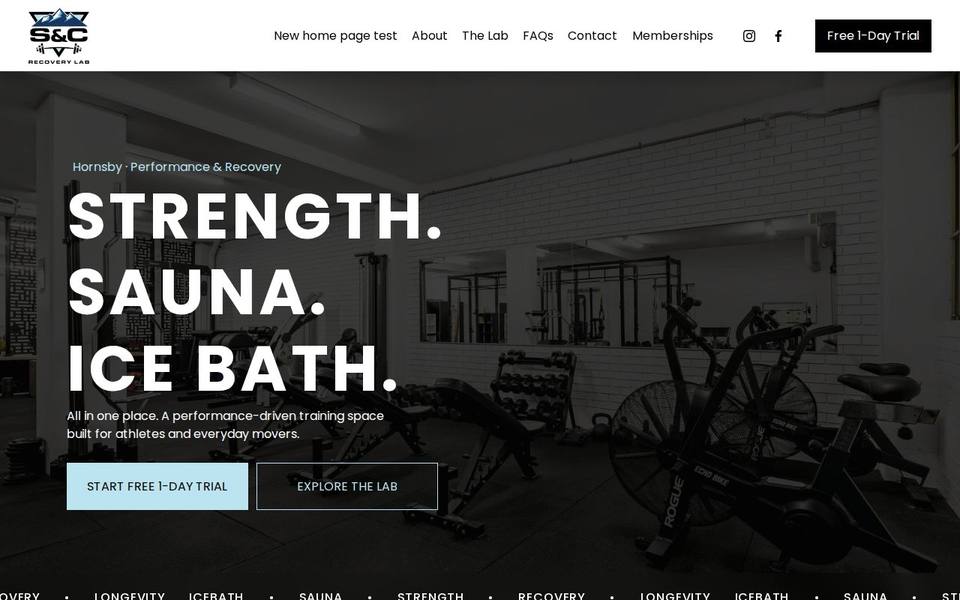 S&C Recovery Lab website
