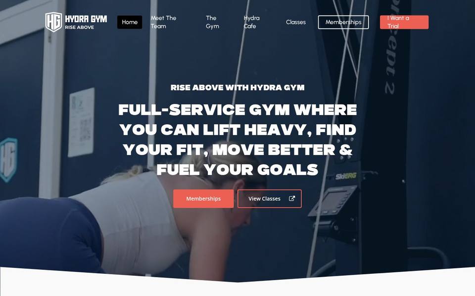 Hydra Gym website