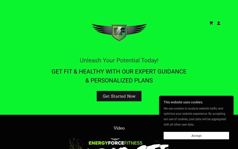 Energy Force Fitness website
