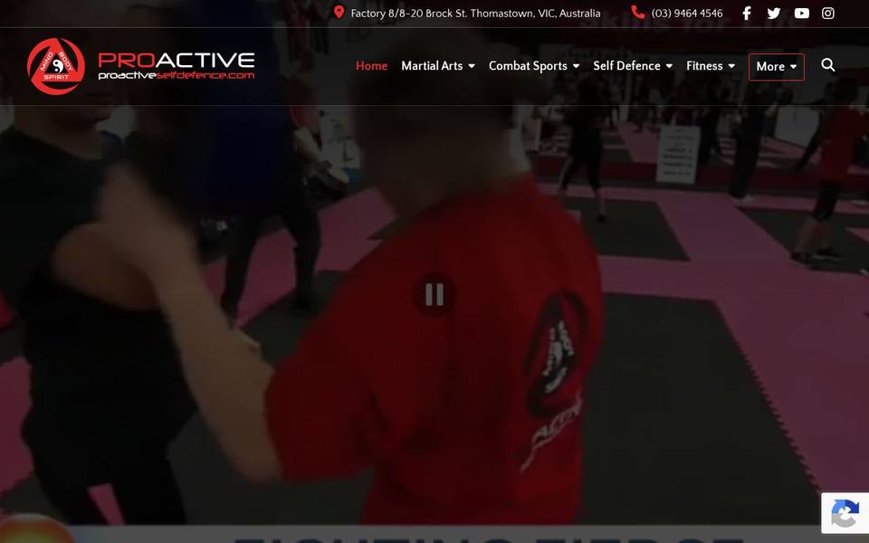 Proactive Self Defence website