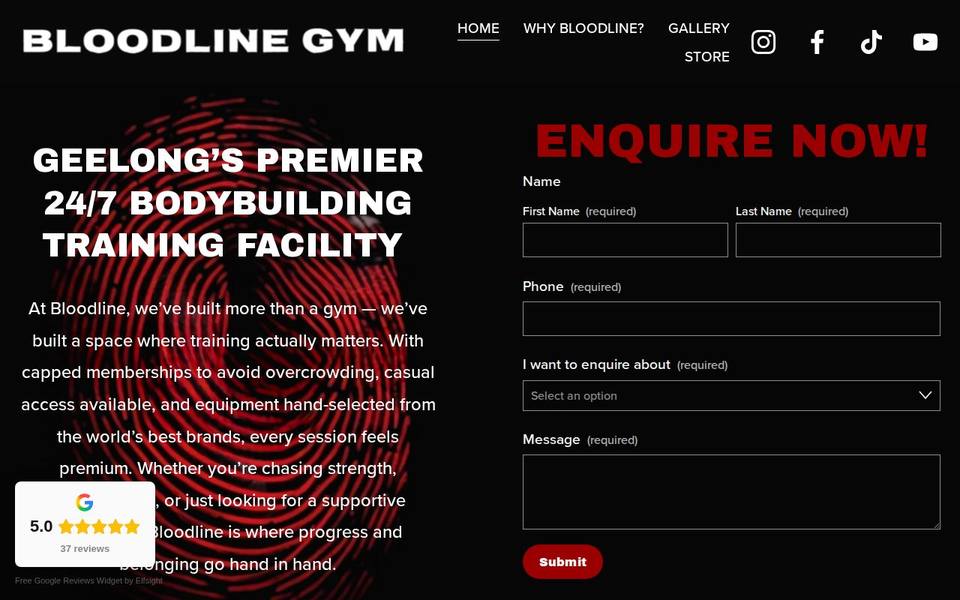 Bloodline Gym website