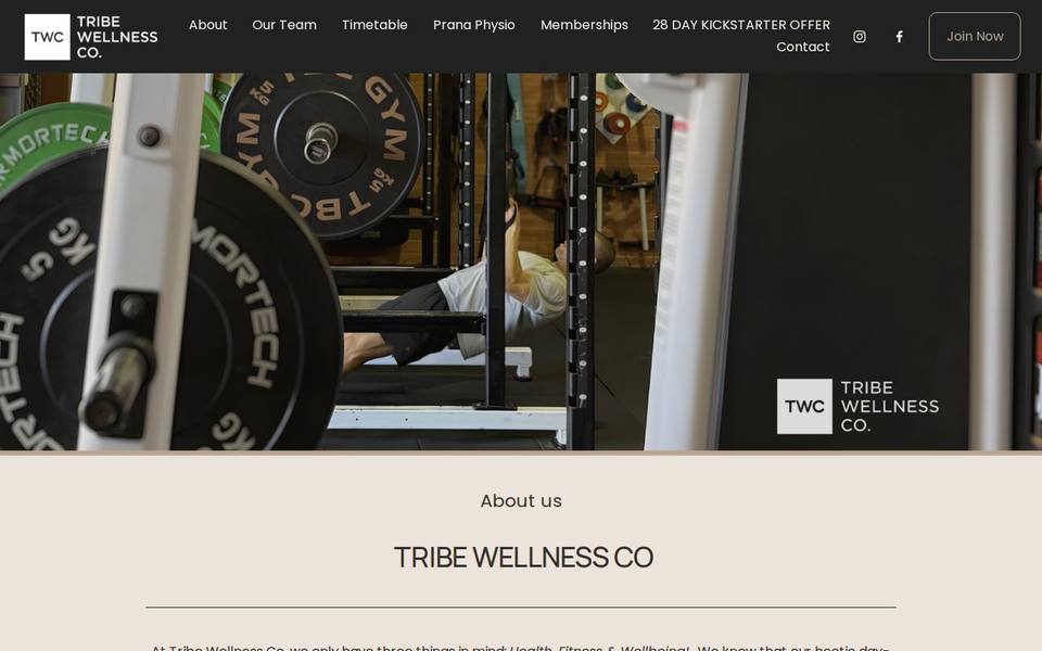 Tribe Wellness Co website