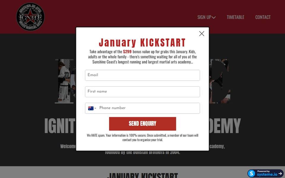 Ignite Martial Arts Academy website