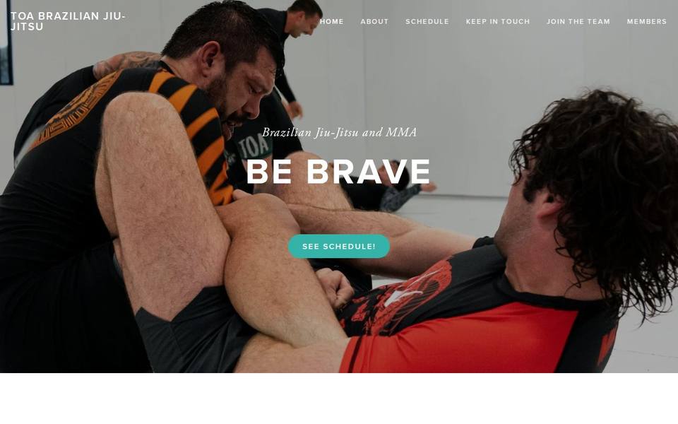 Toa BJJ website