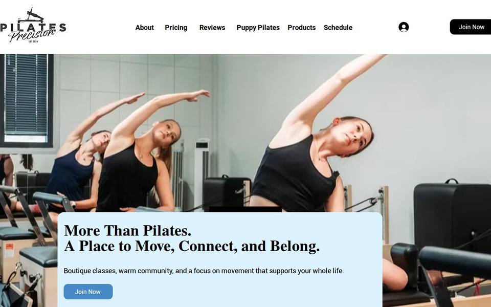 Pilates Precision Australia website