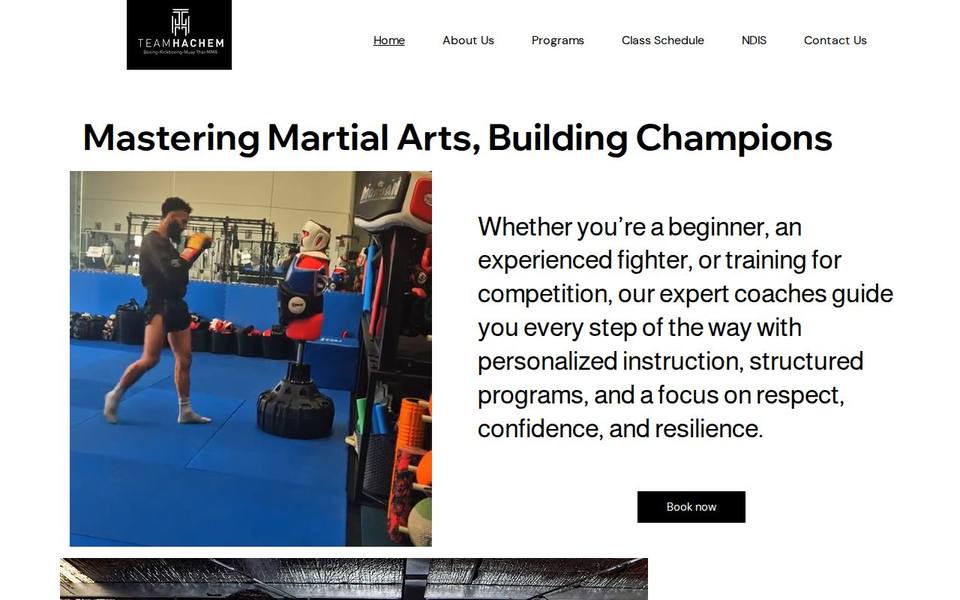 Team Hachem website