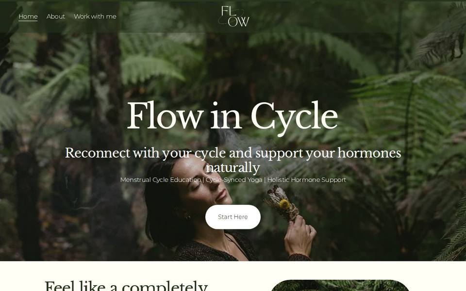 Flow in Cycle website