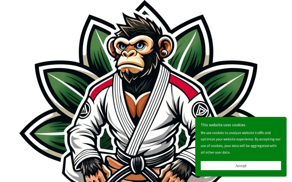 Prevail Jiu Jitsu website