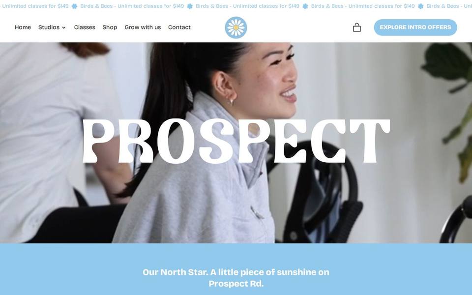 Studio Spring Prospect website