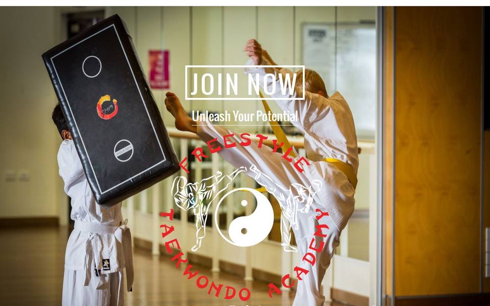 Freestyle Taekwondo Academy website