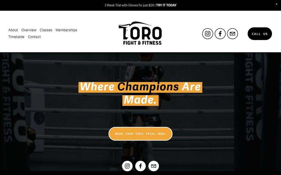 Toro Fight and Fitness website