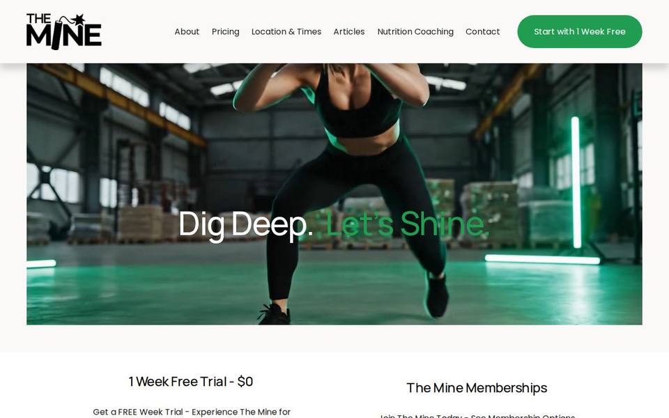 The Mine website