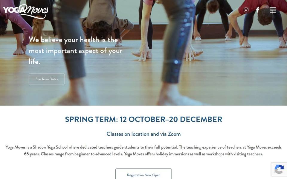 Yoga Moves website