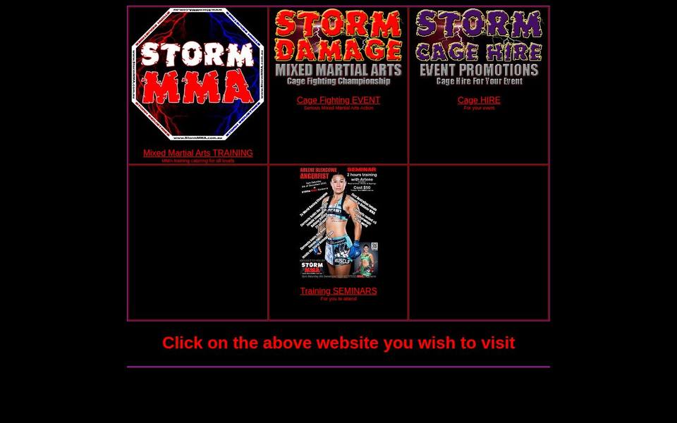 Storm MMA website