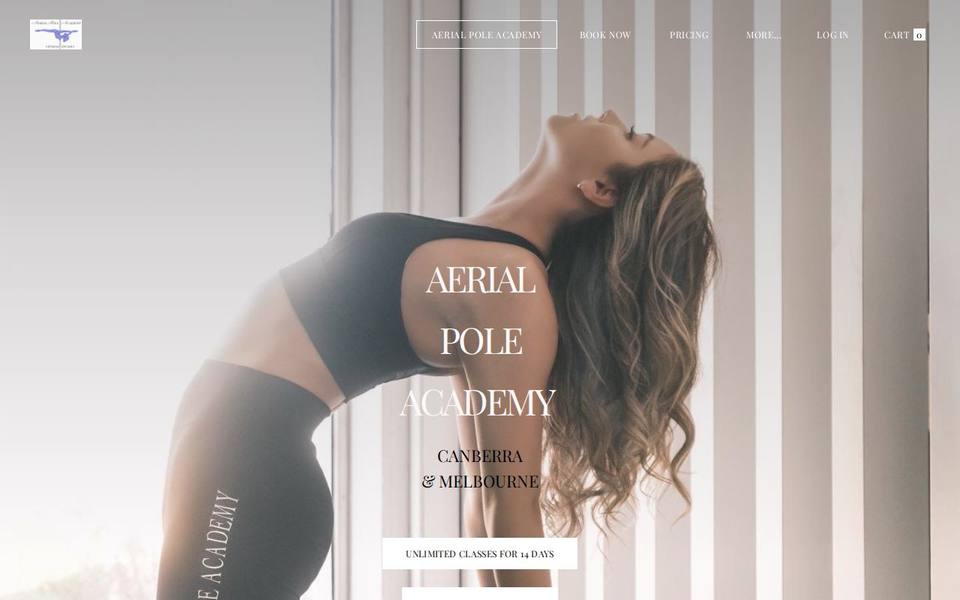 Aerial Pole Academy website