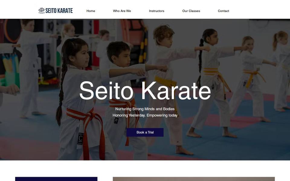 Seito Karate website
