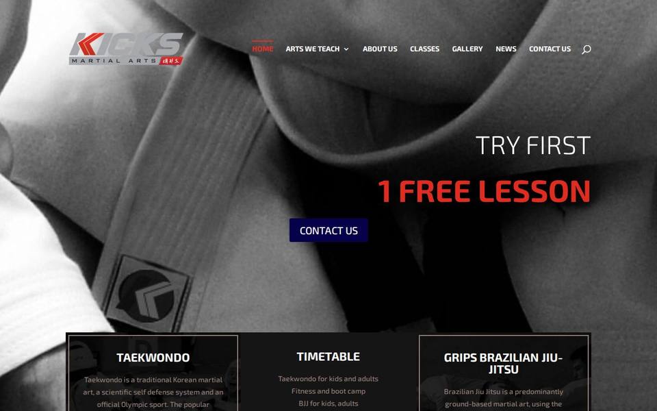 Kicks Martial Arts website