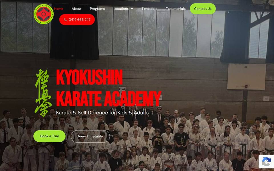 Kyokushin Karate website