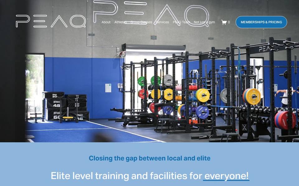 PEAQ Recovery website