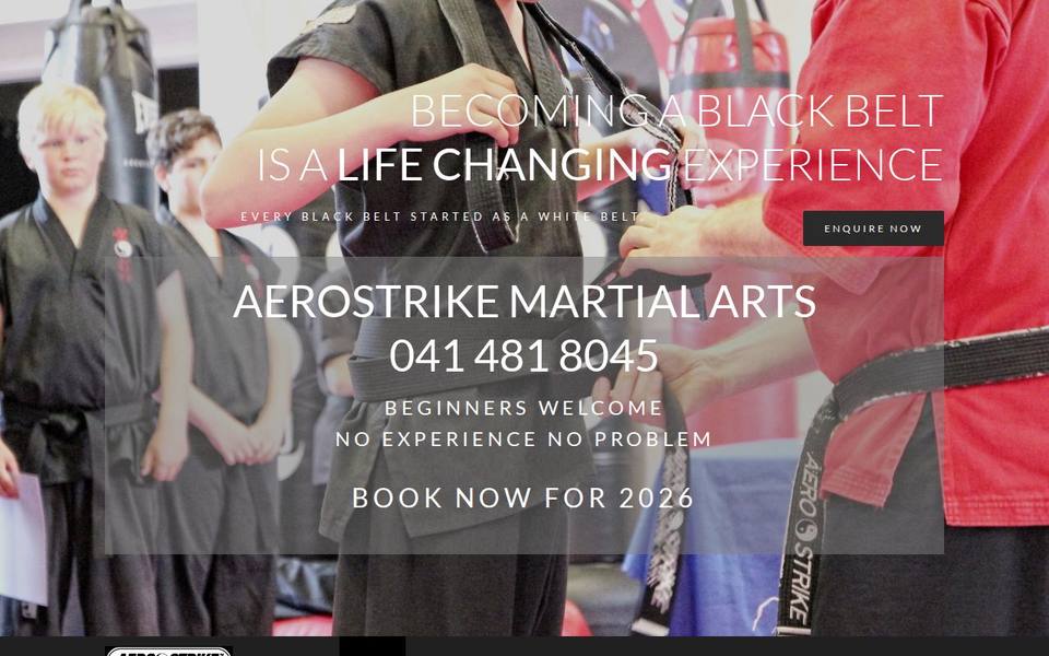 Aerostrike Martial Arts website
