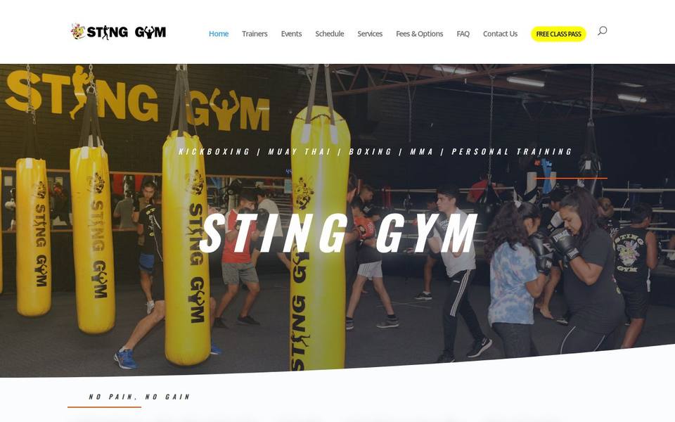 Sting Gym Frankston website