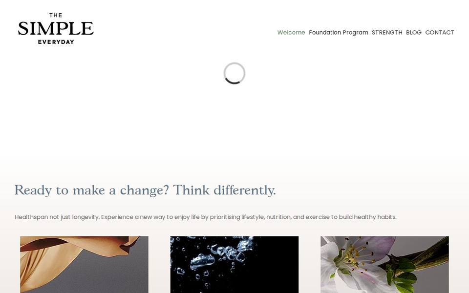 The Simple Everyday website