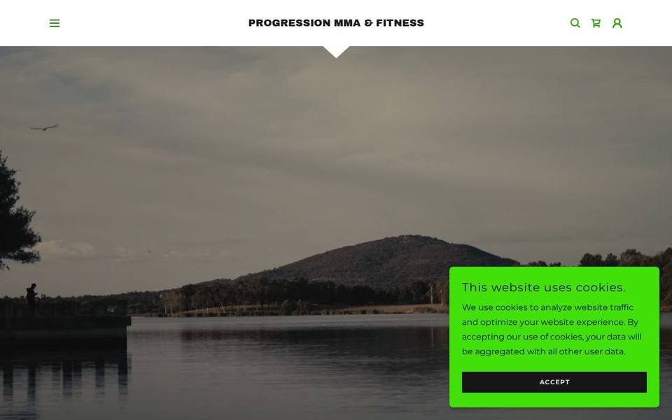 Progression MMA and Fitness website