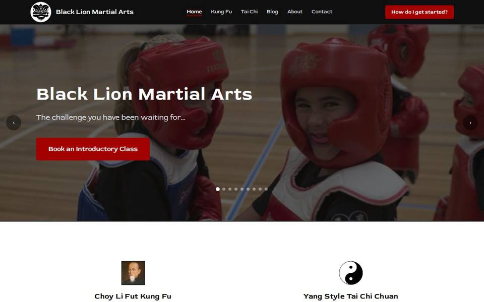 Black Lion Martial Arts website