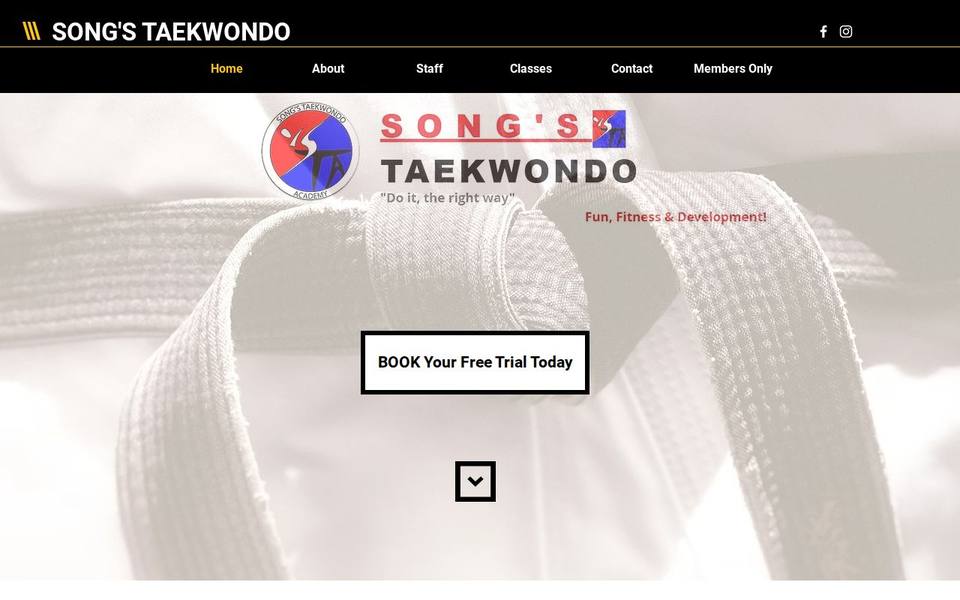 Song's Taekwondo Academy website