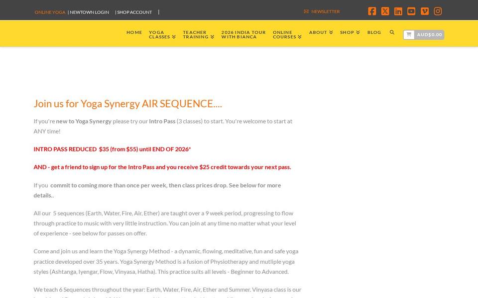 Yoga Synergy website