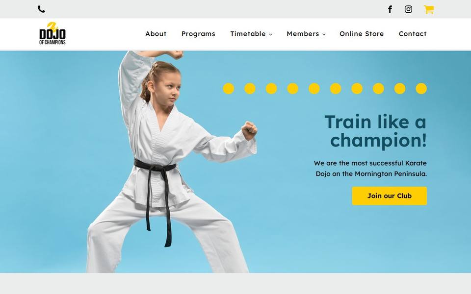 Dojo Of Champions website
