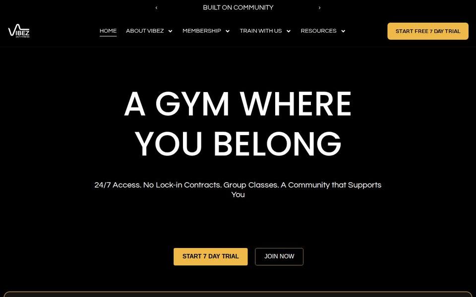 Vibez 24/7 Fitness website