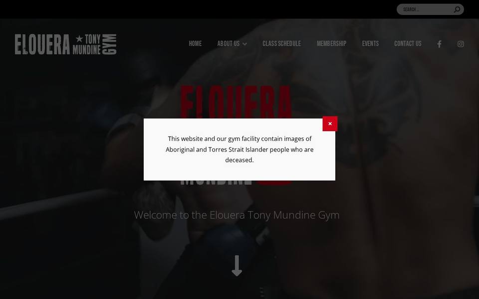 Elouera Tony Mundine Gym website