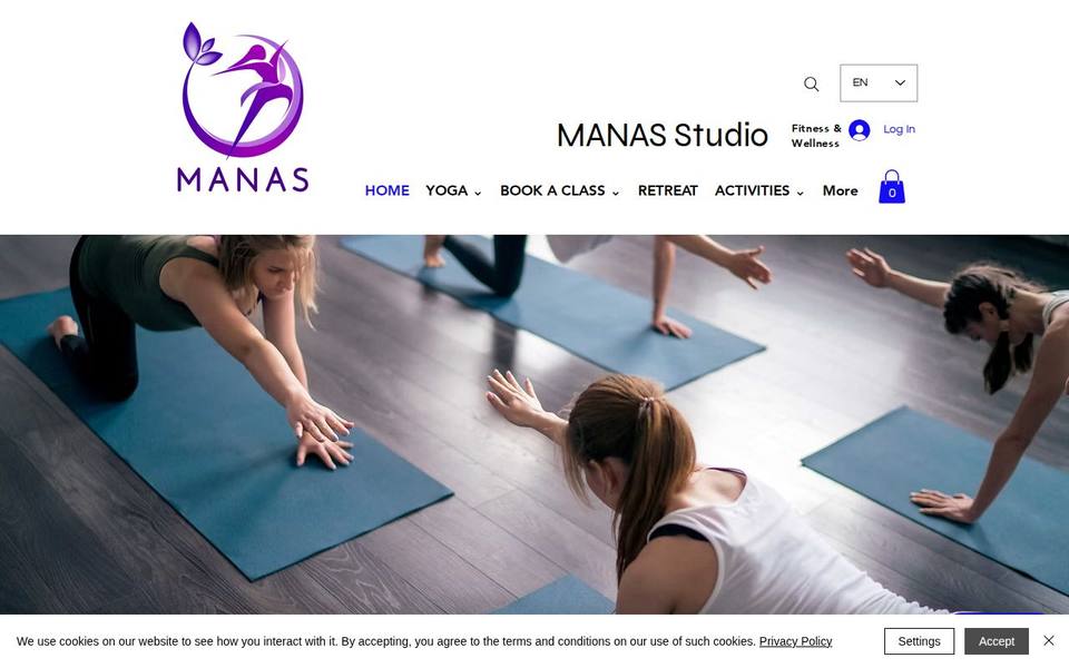 Manas Studio Fitness & Wellness website