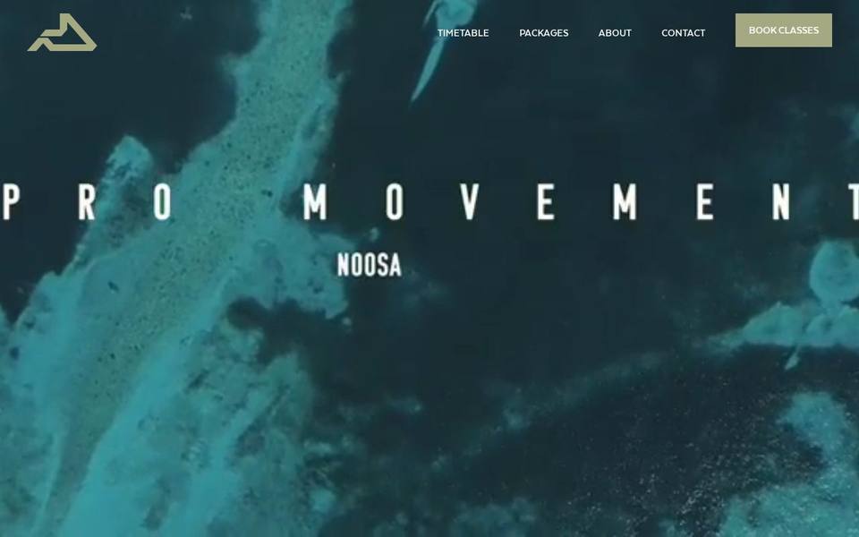 Pro Movement website