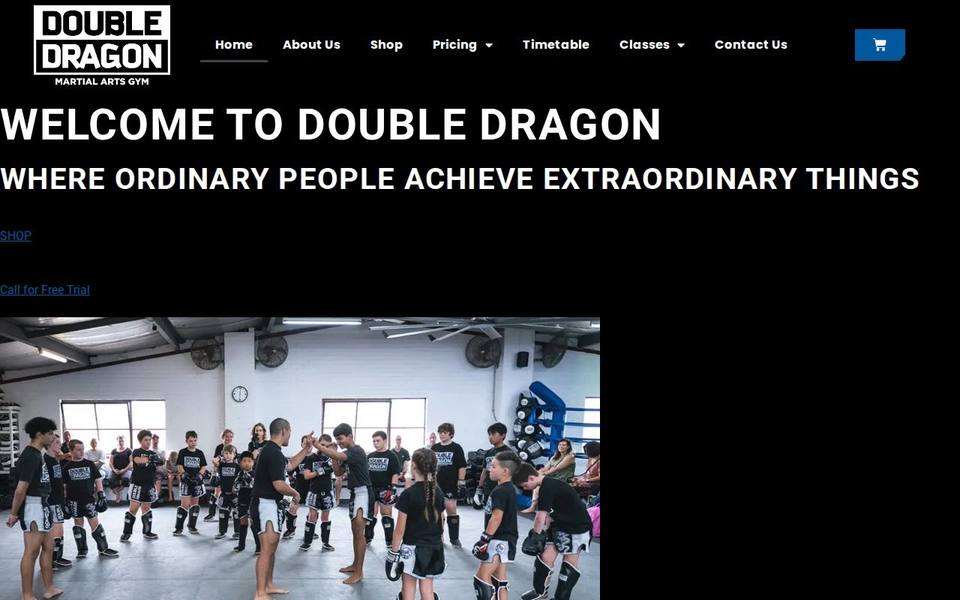 Double Dragon Martial Arts website