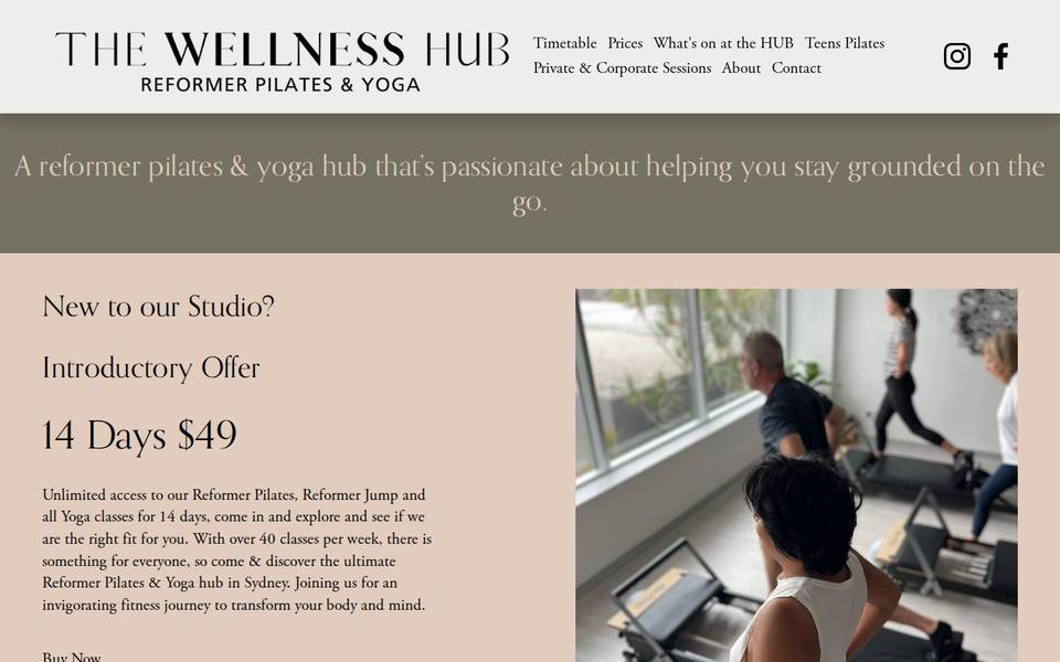 The Wellness Hub website
